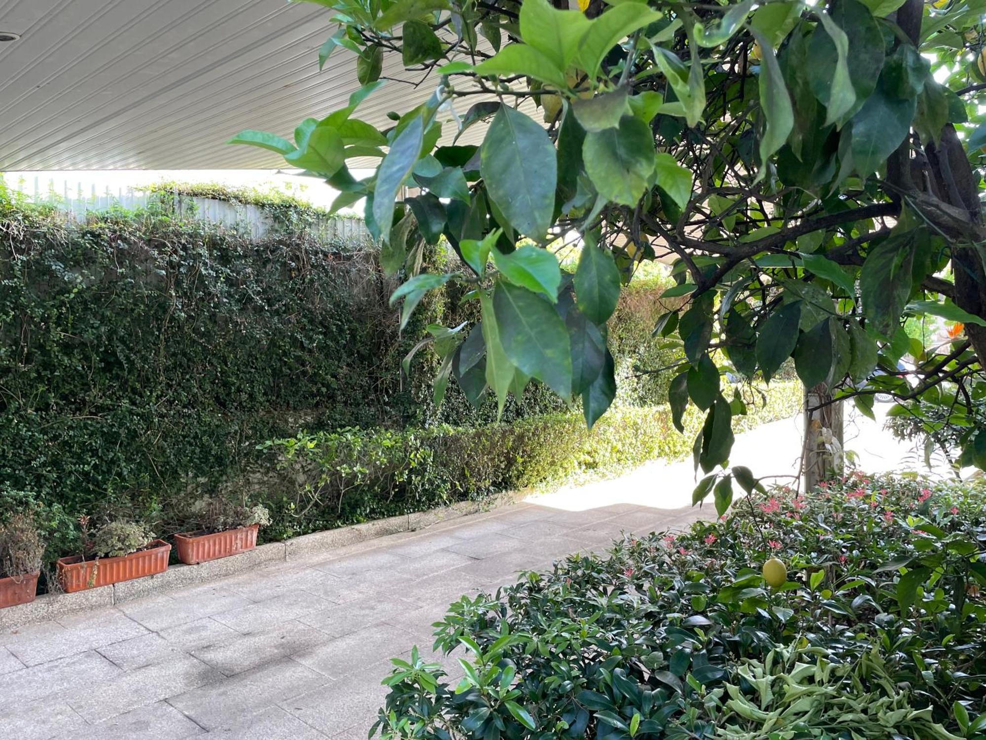 Villa Casa Do Paco Guimarães Exterior foto